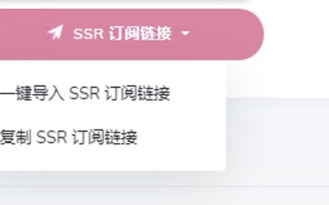 SSRRay 下载安装和使用教程