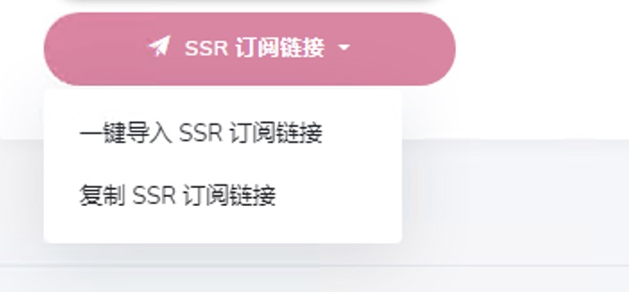 SSRRay 下载安装和使用教程