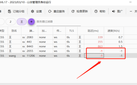 V2rayN 的延迟是-1ms的原因和解决方法