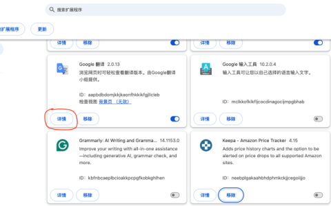 如何在 Chrome浏览器无痕模式启动扩展插件