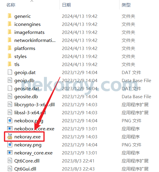 Windows 客户端 NekoRay 下载、安装和使用教程