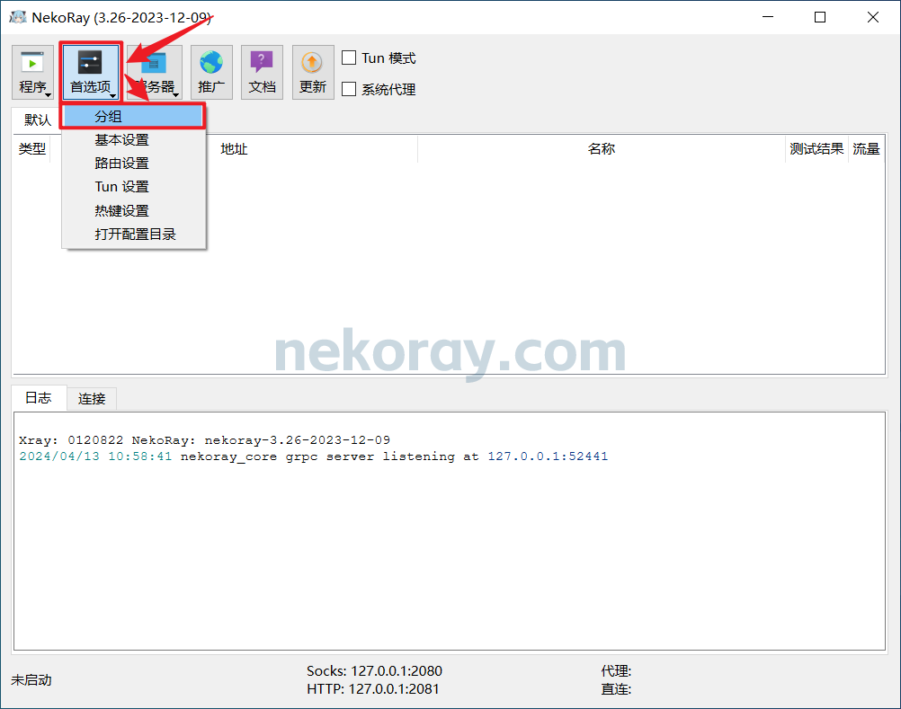 Windows 客户端 NekoRay 下载、安装和使用教程