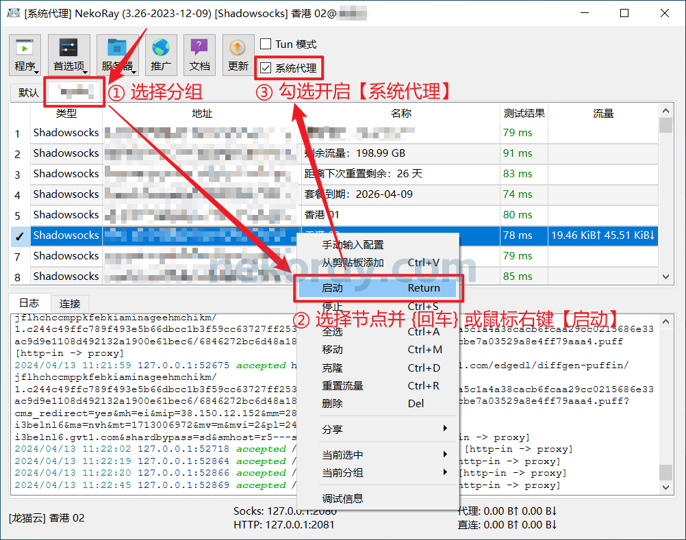 Windows 客户端 NekoRay 下载、安装和使用教程