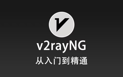 安卓手机客户端 v2rayNG 使用教程