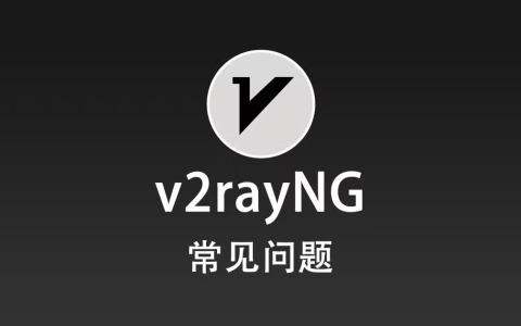 v2rayNG 常见问题