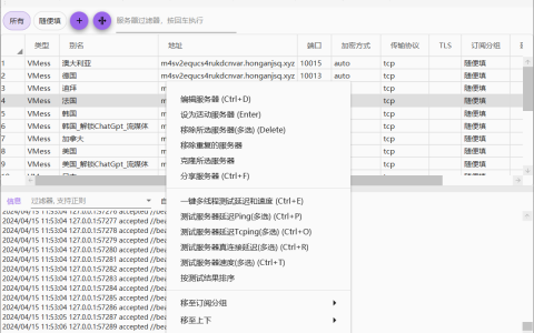 测试 v2rayN 节点延迟的两种方法