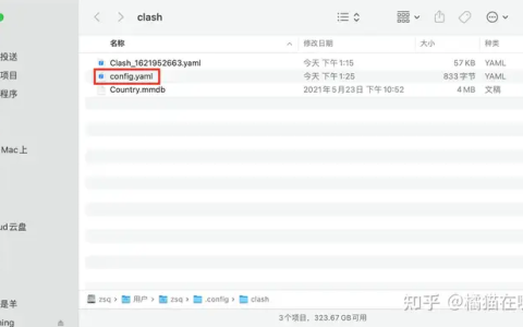 解决苹果 macOS 系统 ClashX 配置代理端口为 0 问题