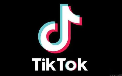 TikTok 新手指南：TikTok 怎么下载？ 2024最新 TikTok 下载教程