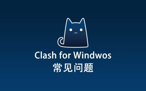 Clash for Windows 常见问题