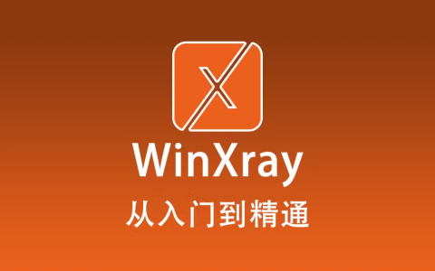 2024 最新版 WinXray 使用教程『从入门到精通』