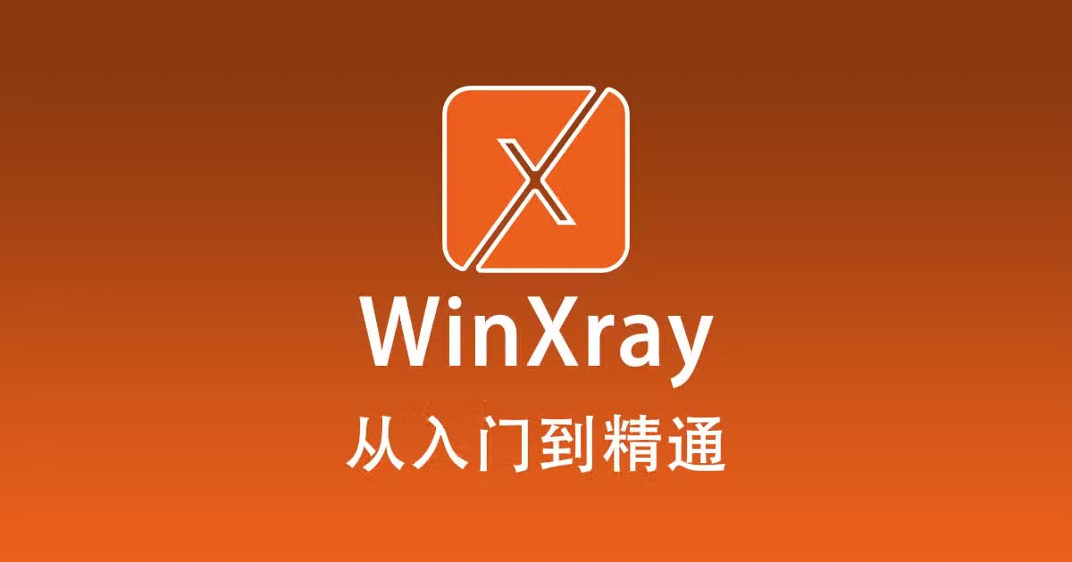 2024 最新版 WinXray 使用教程『从入门到精通』