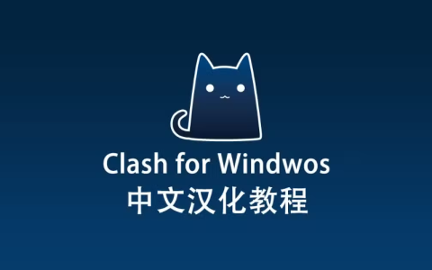 Clash for Windows 中文汉化教程【补丁下载】