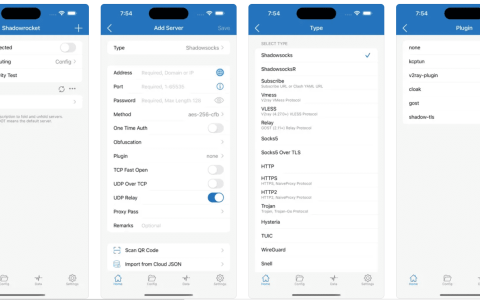 2024 苹果手机最新小火箭Shadowrocket下载和配置订阅URL教程